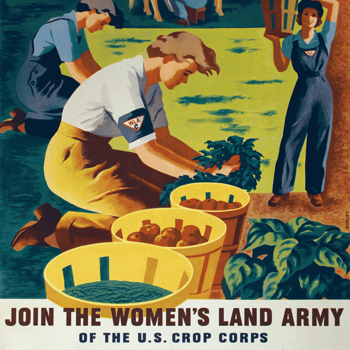 World War Two poster of women farming. Text reads: Join the Women's Land Army of the U.S. Crop Corps.