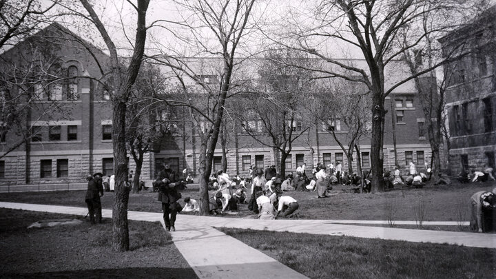 Students, faculty and staff scour the university grounds to eliminate dandelions in spring 1911.