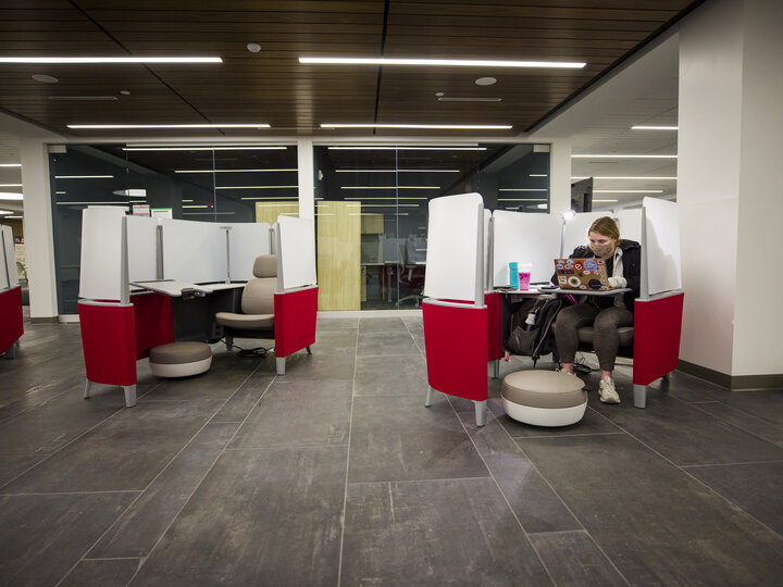 Photo of the study pods in the Dinsdale Learning Commons